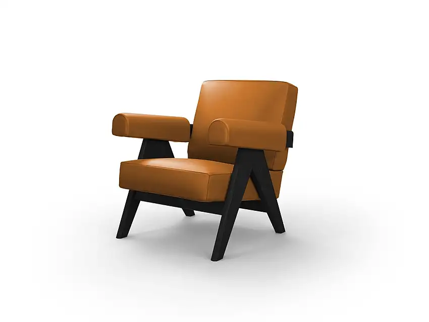 053capitolcomplexarmchairprocassinarovereneropellewagnercamm-3-1