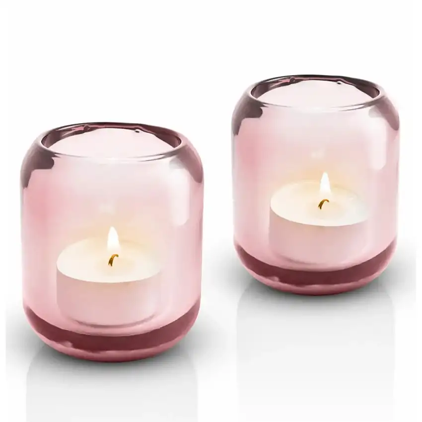 240441_portalumino-acorn-set-di-2-pz-rosa-eva-solo-1