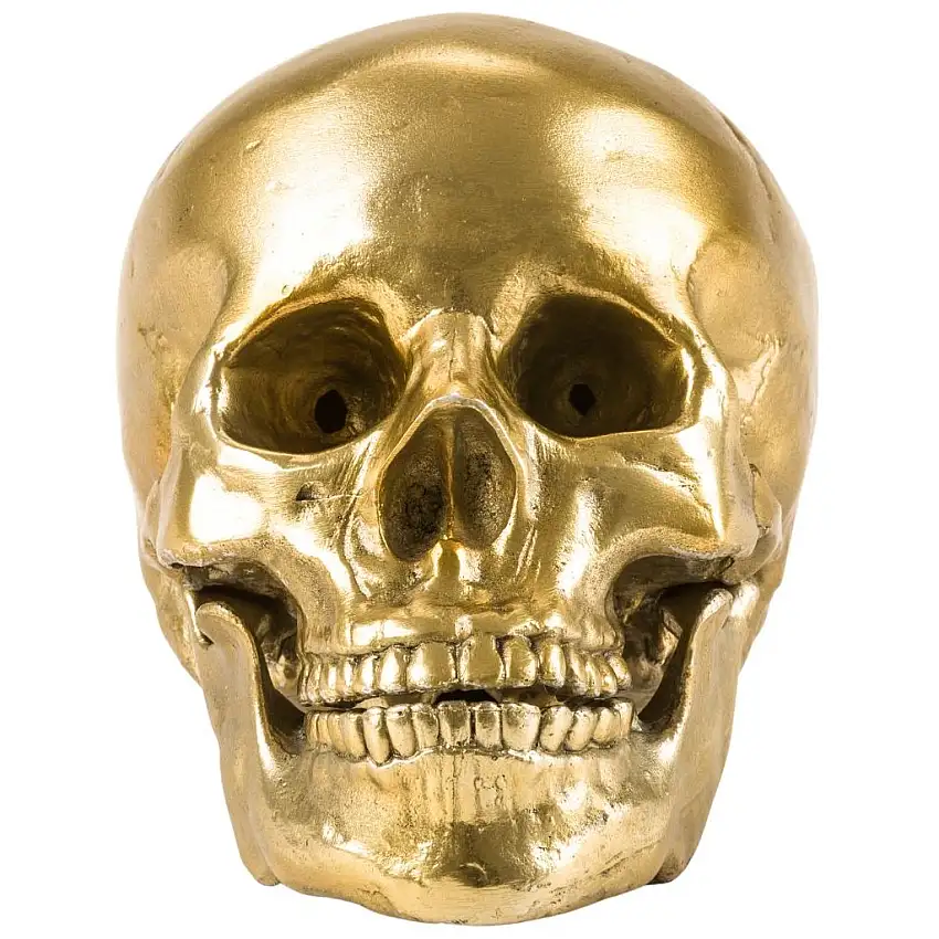 241137_statuina-wunderkammer-human-skull-20-cm-argento-alluminio-seletti-1