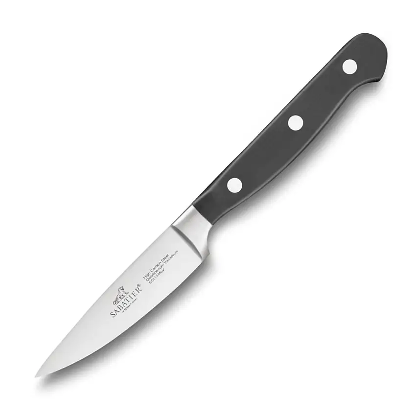 269904_221279-orezavaci-nuz-pluton-10-cm-nerezove-nyty-cerna-lion-sabatier-1