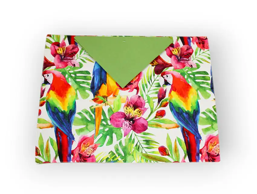 572_18625_parrot_tovaglietta_2-photoroom-1