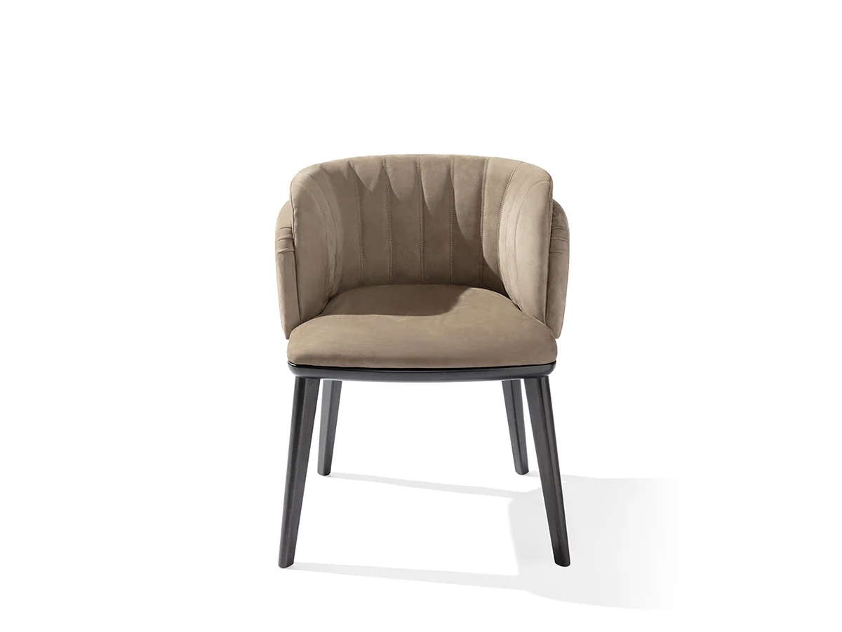 annettechaircarpanesehome-1