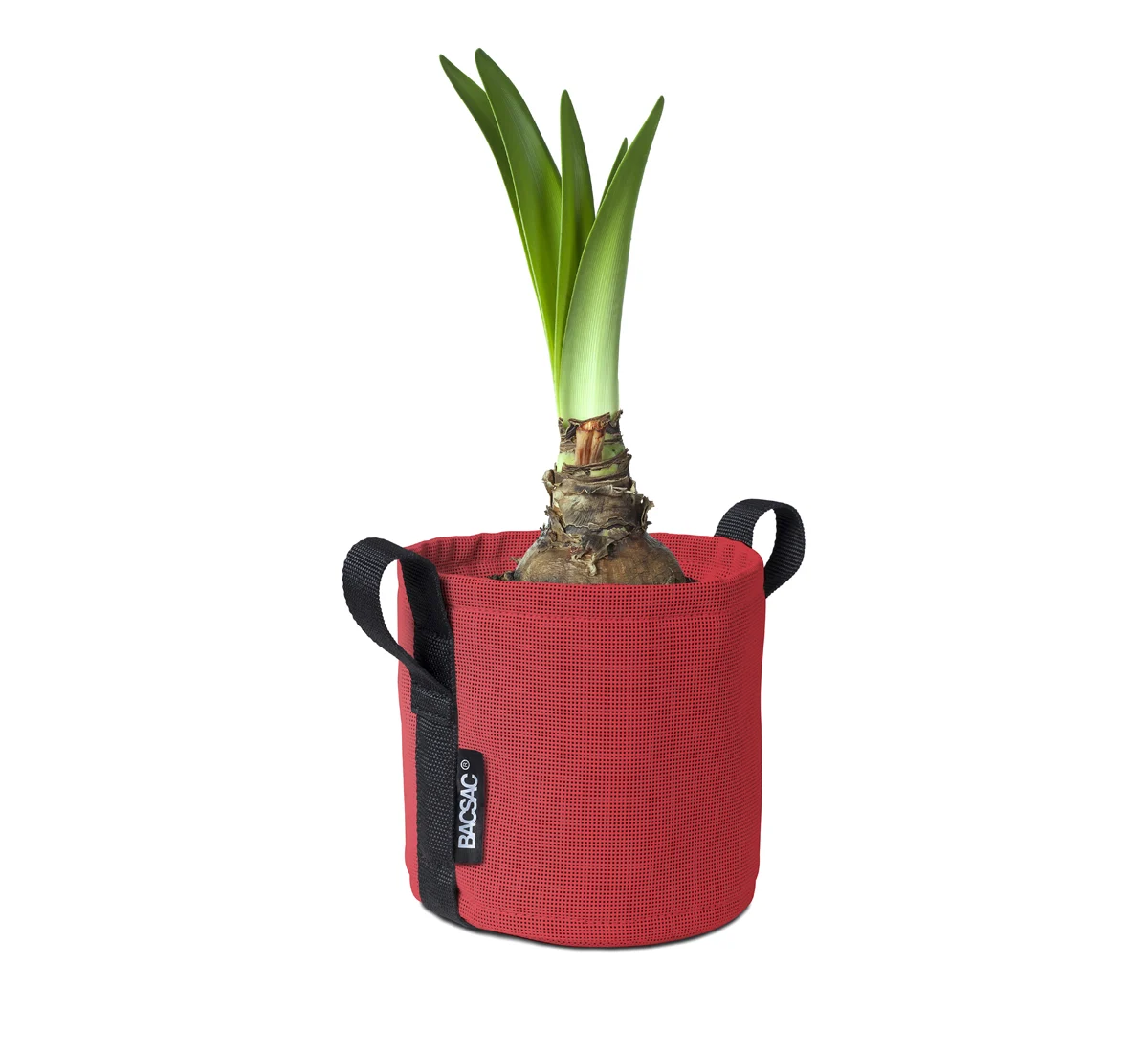 bacsac-pot-3-l-1