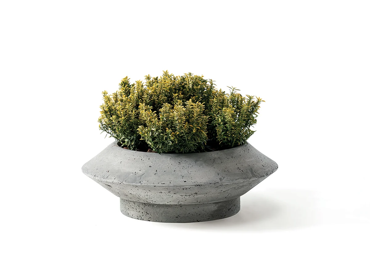 crocus-bulbi-grigio-cemento-1-1