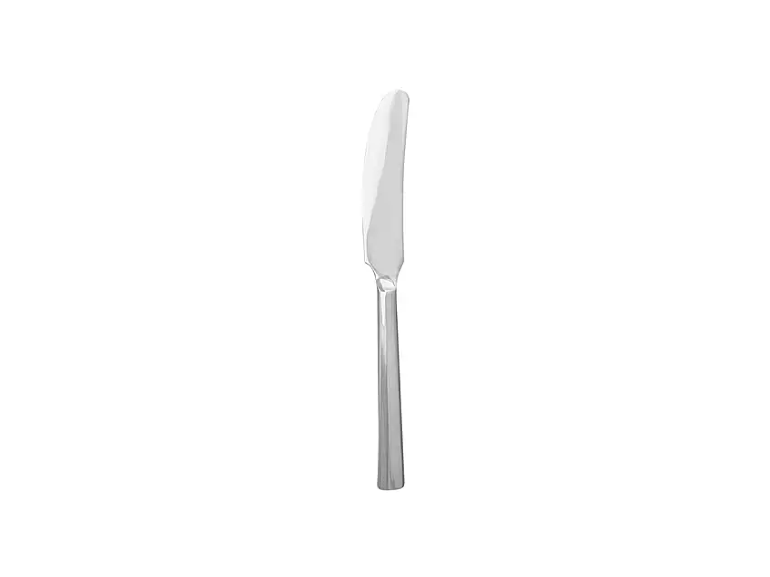 dinner-knife-polished-steel-1