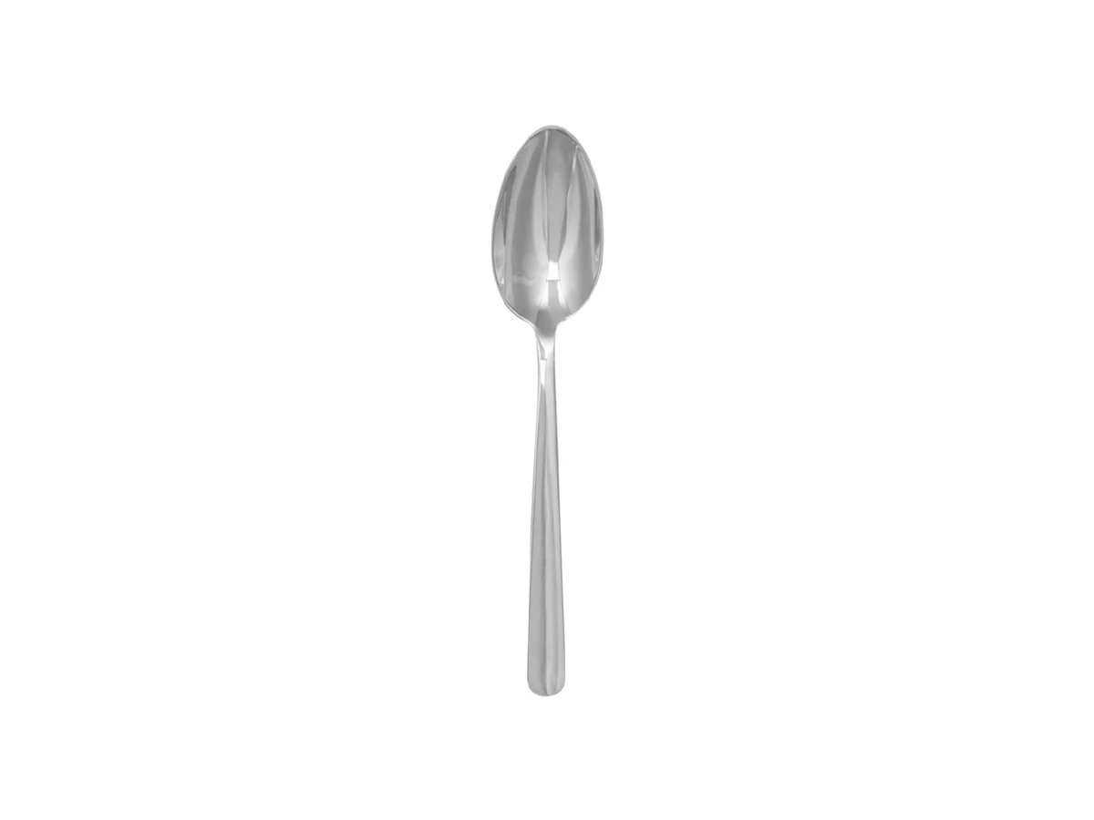 dinner-spoon-polished-steel-1