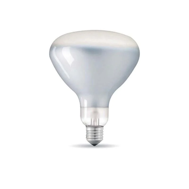 floslampadinalede27r12512w230v2700k1000lmdimmerabilefrostedp-1