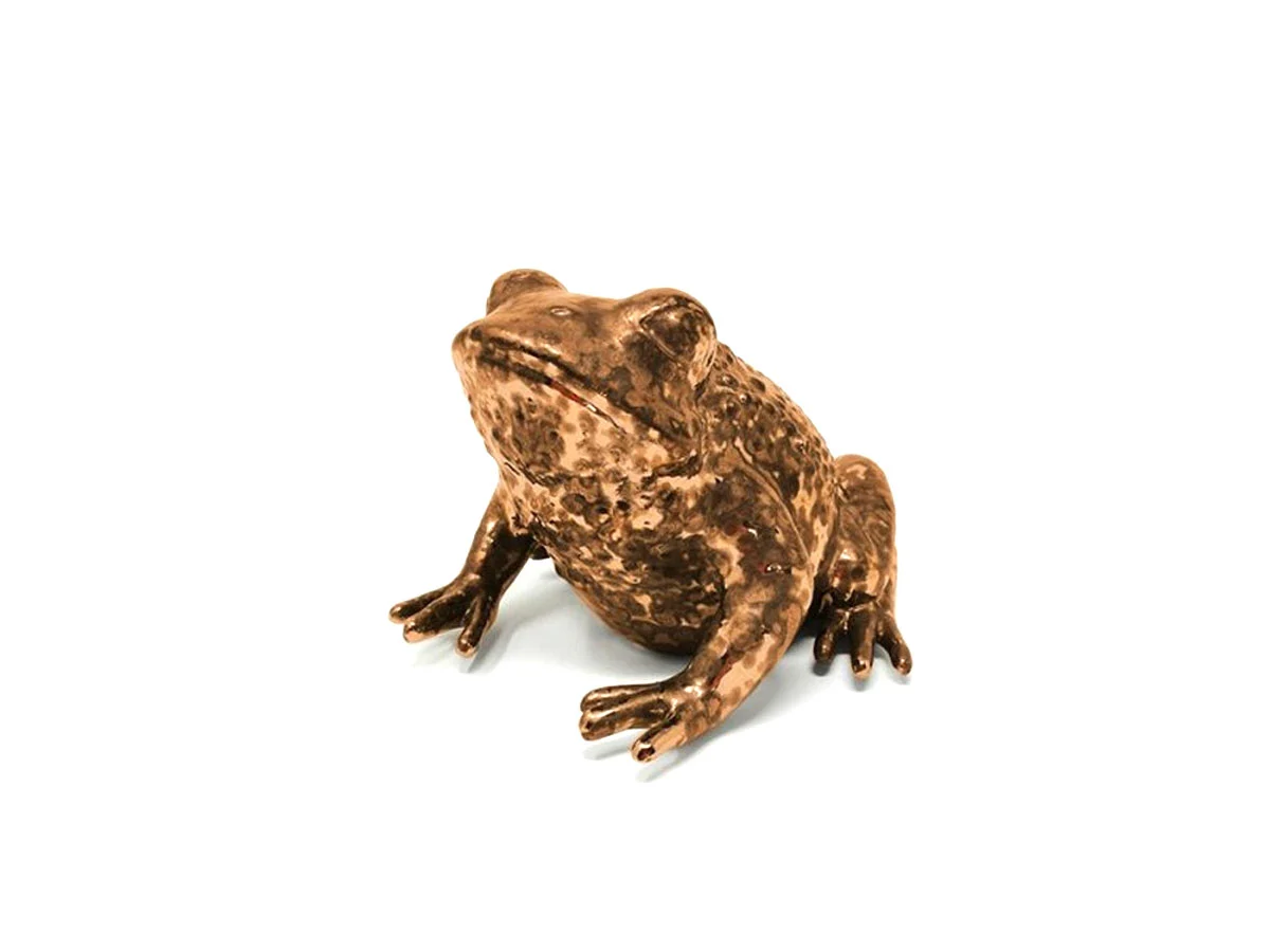 frogqueenororosaadrianierossi-1
