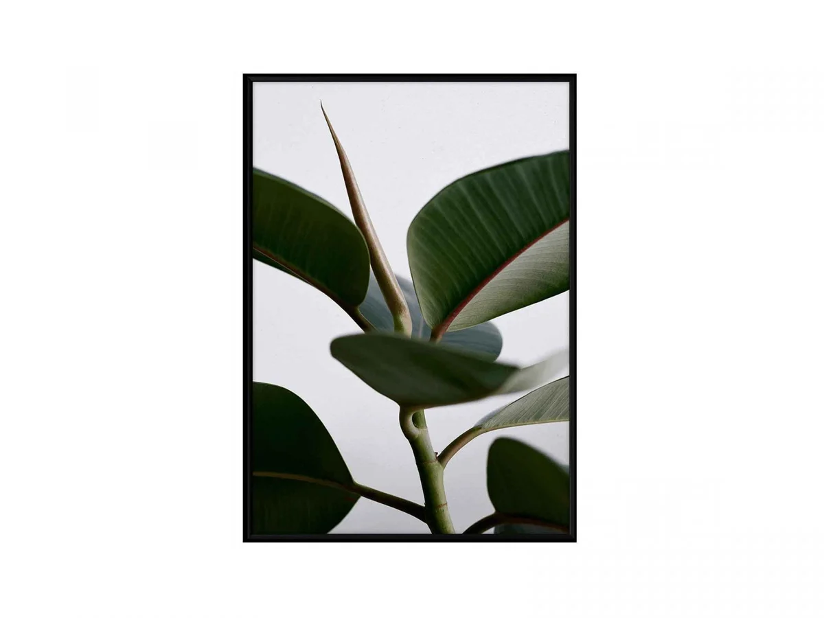green-home-02-stampa-con-cornice-nera-1