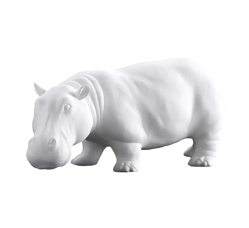 hippo-bisc-abhika-1