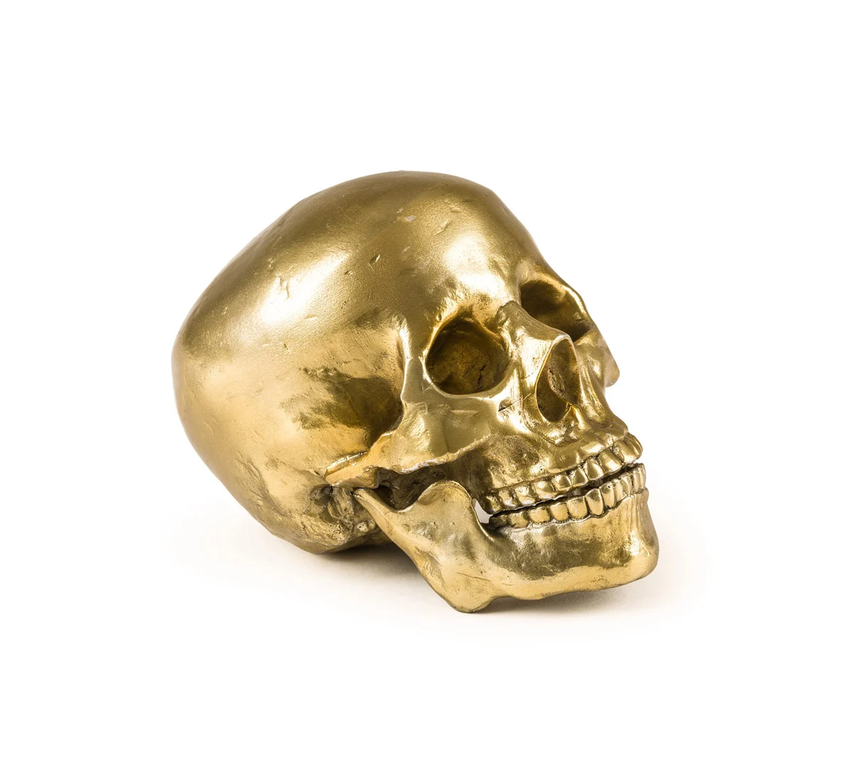 human-skulla-seletti-3-2