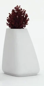moma-medium-2