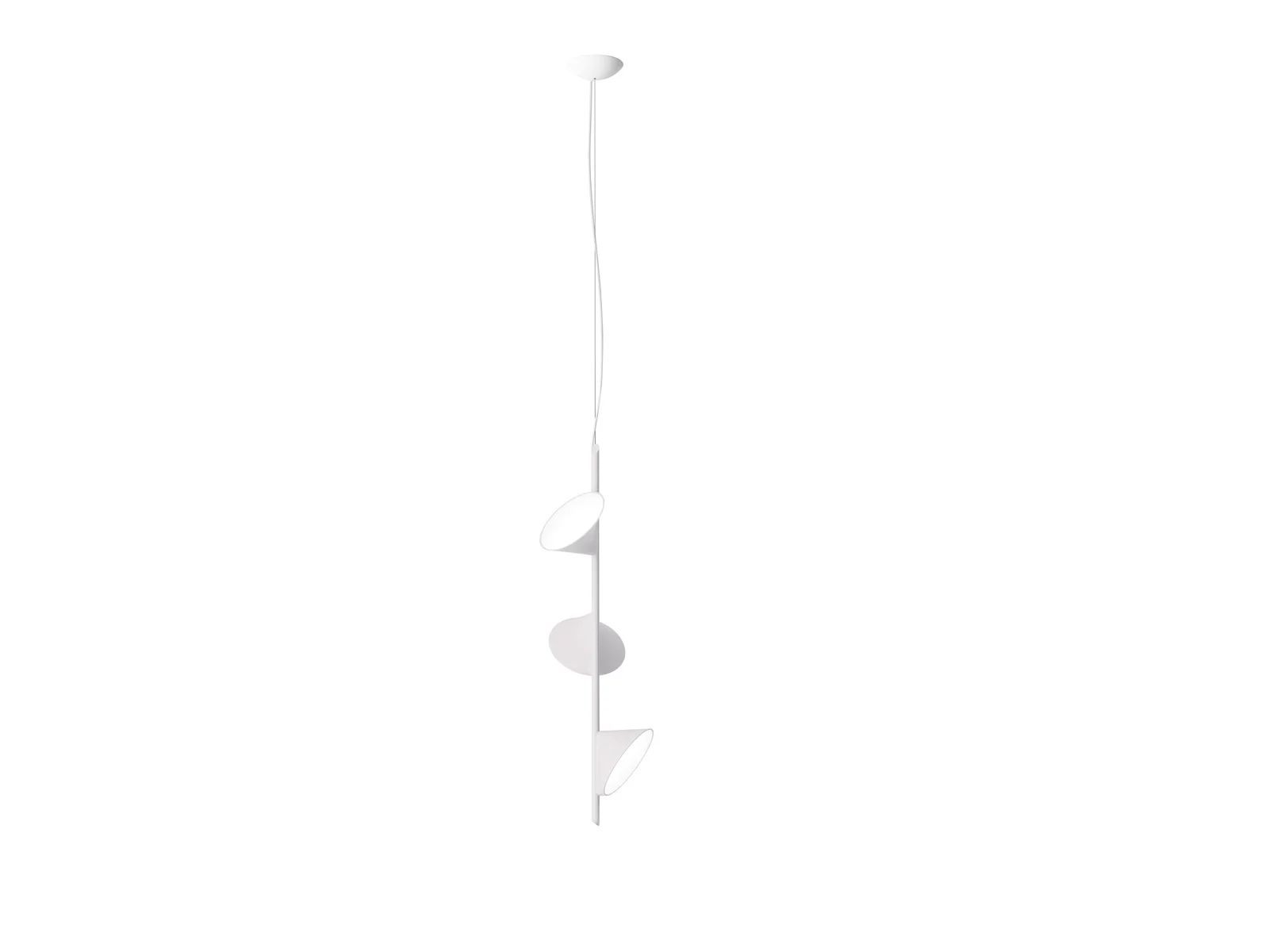 orchid-suspension-a-1