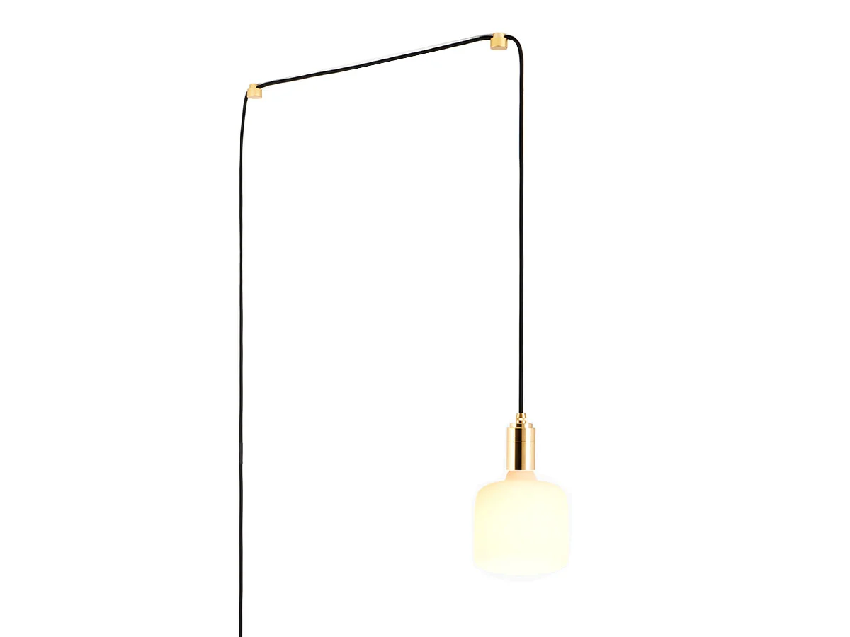 pluinoblosusplamp-1