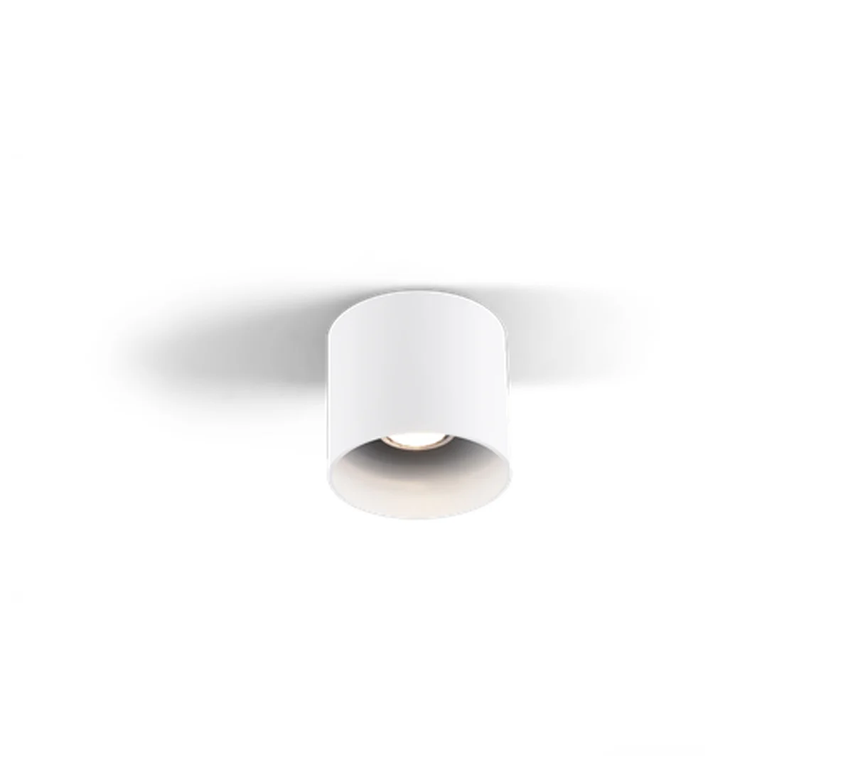 ray-white-imm-princ-1-1