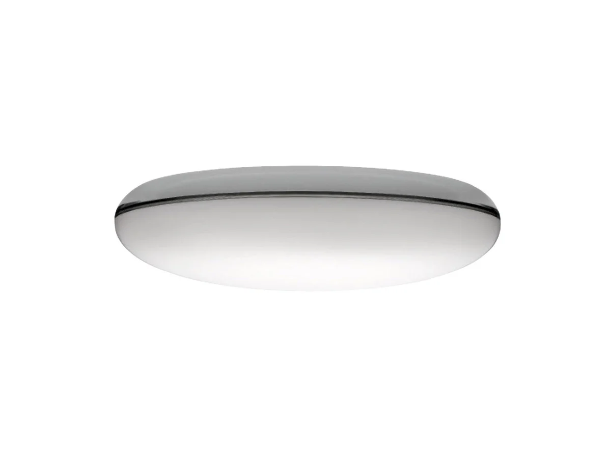 silverback-ceiling-lamp-1-1