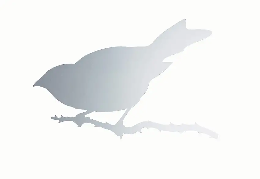 snijder-bird-1