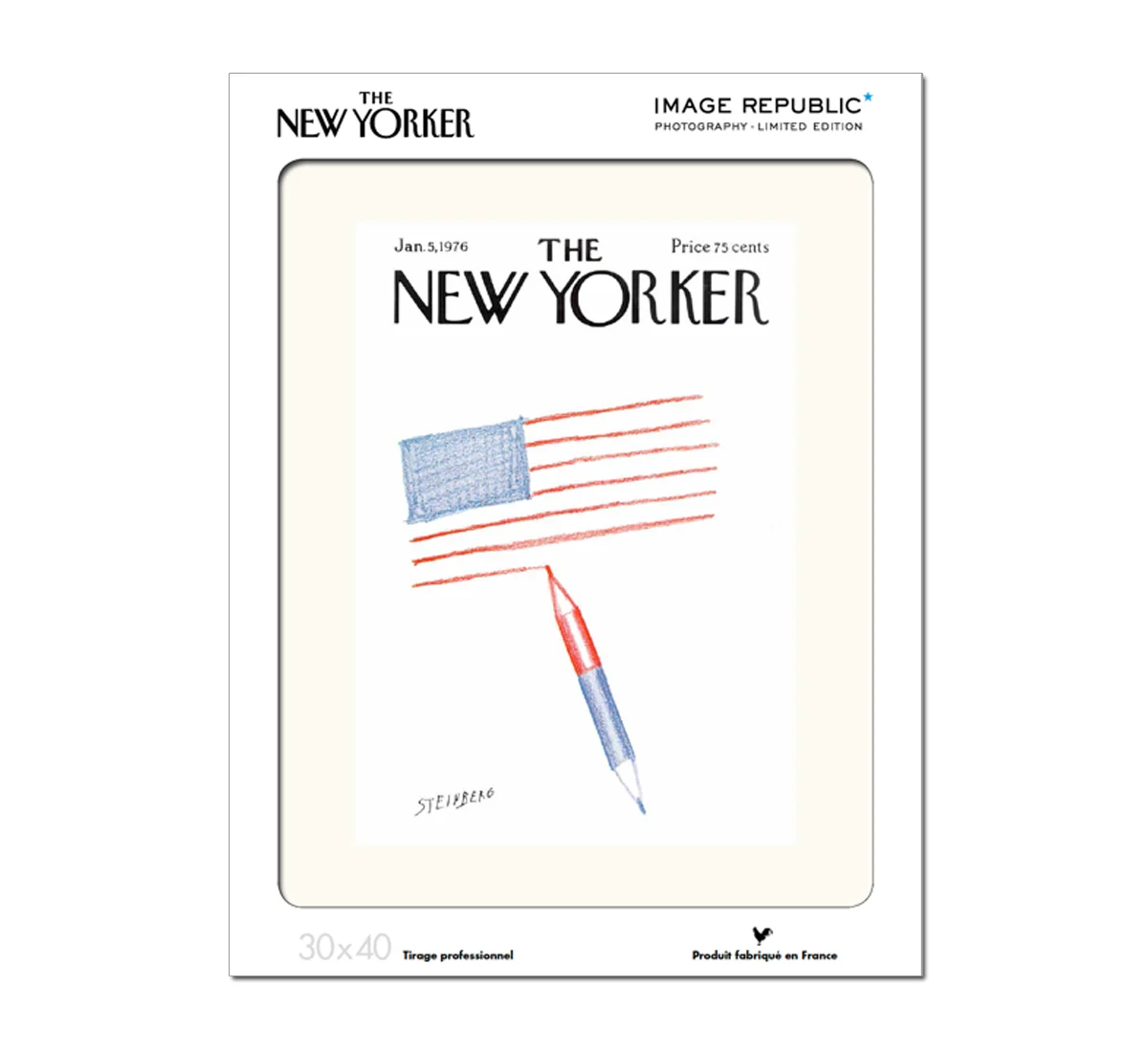 the-new-yorker-06-steinberg-1
