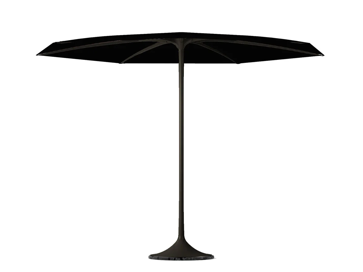 umbrella-palma-royal-botania-1