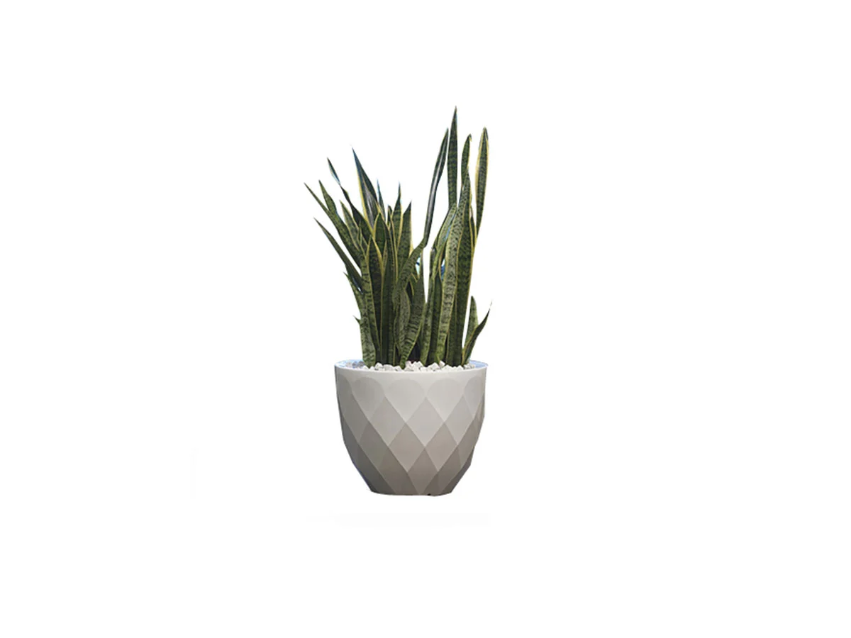 vases-1