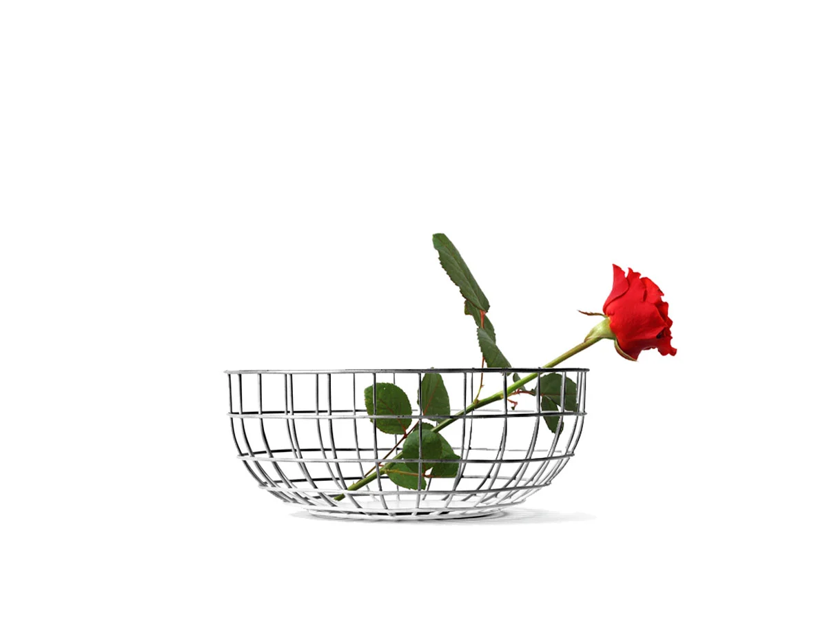 wire-bowl-chromo-menu-1