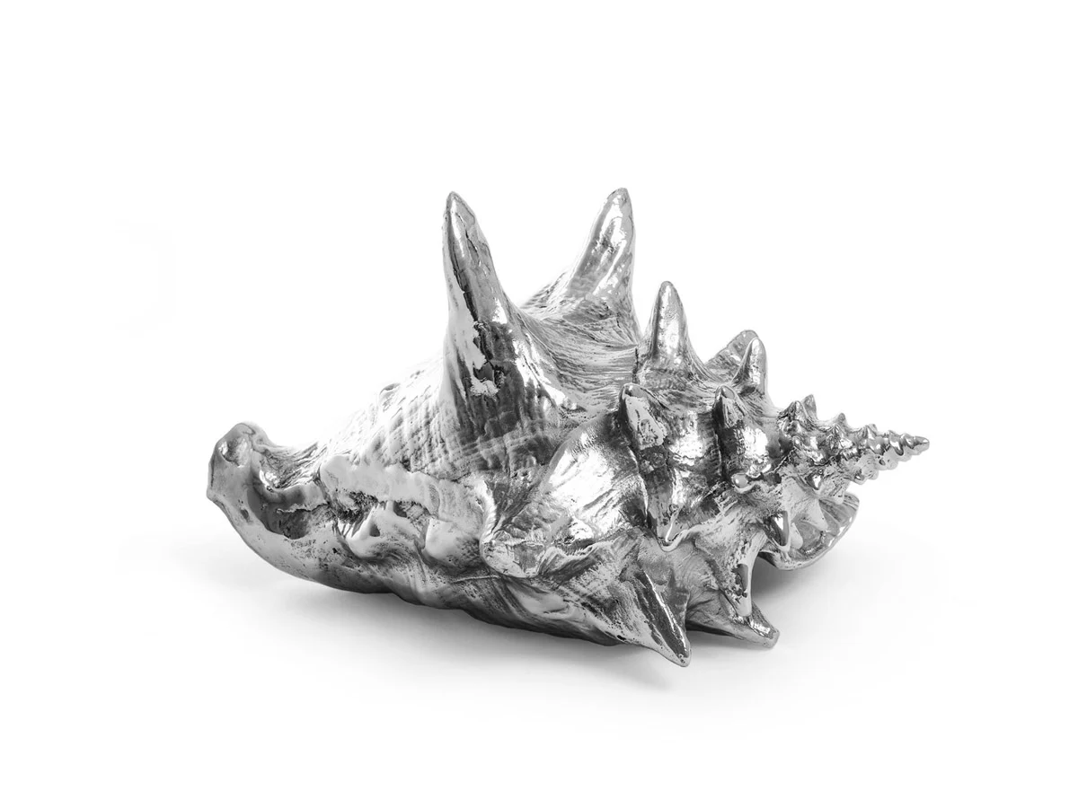 wunderkammer-shell-1